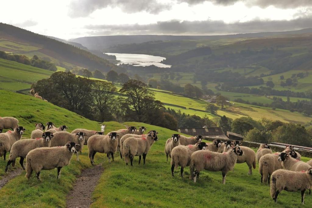 Wensleydale Halls レイバーン エクステリア 写真